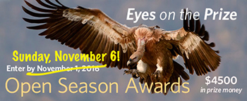 Open Season Awards