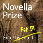Novella Prize