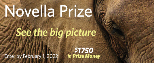 Novella Prize