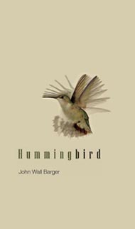 Hummingbird