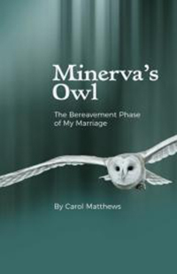 Minerva's Owl