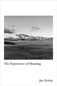 The Experience of Meaning