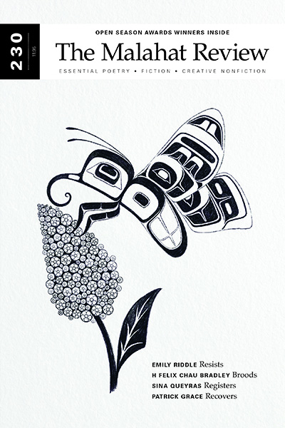 Issue 230 cover art by SGidGang.Xaal / Shoshannah Greene