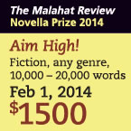 Novella Prize 2014